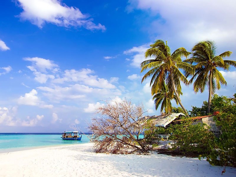 Andaman Tour Packages