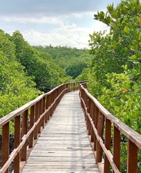 Andaman Tour Packages