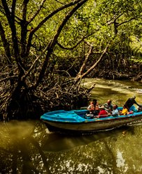 Andaman Tour Packages